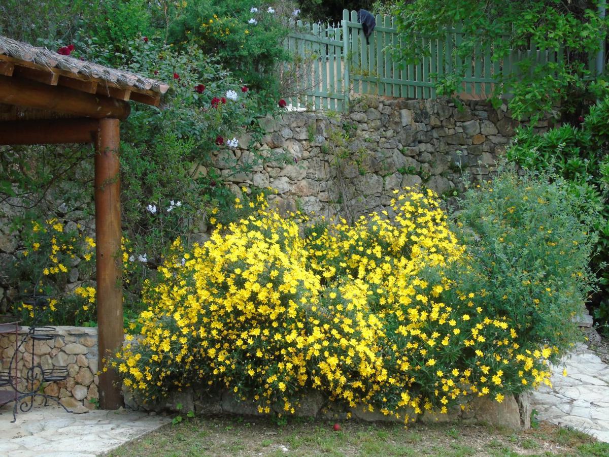 Mas Des Citronniers Le Tignet Exterior foto